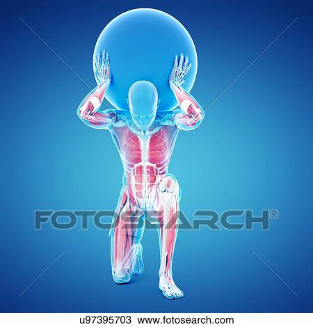 Atlas lifting globe, artwork View Large Illustration Drawing - Atlas lifting globe, artwork. Fotosearch