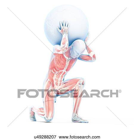 Atlas lifting globe, artwork View Large Illustration Stock Illustration - Atlas lifting globe, artwork. Fotosearch