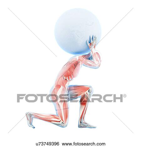 Atlas lifting globe, artwork View Large Illustration Stock Illustration - Atlas lifting globe, artwork. Fotosearch