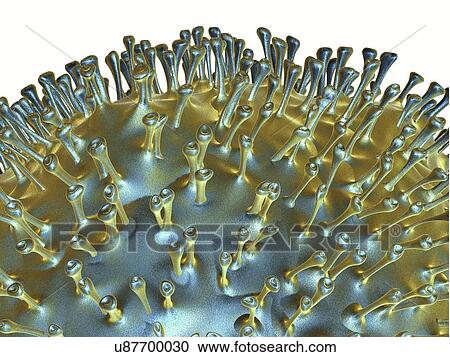 Avian influenza virus, artwork View Large Illustration Clipart - Avian influenza virus, artwork. Fotosearch