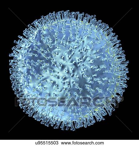 Drawing - Avian influenza virus, artwork. Fotosearch