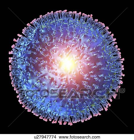 Avian influenza virus, artwork View Large Illustration Stock Illustration - Avian influenza virus, artwork. Fotosearch