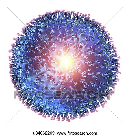 Stock Illustration - Avian influenza virus, artwork. Fotosearch
