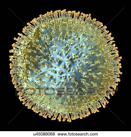 Avian influenza virus, artwork View Large Illustration Stock Illustration - Avian influenza virus, artwork. Fotosearch