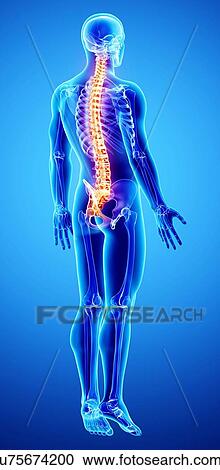 Back pain, artwork View Large Illustration Clipart - Back pain, artwork. Fotosearch