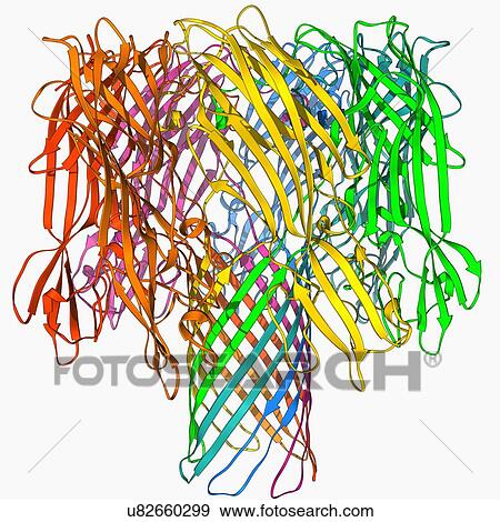 Bacterial alpha-hemolysin toxin View Large Illustration Stock Illustration - Bacterial alpha-hemolysin toxin. Fotosearch