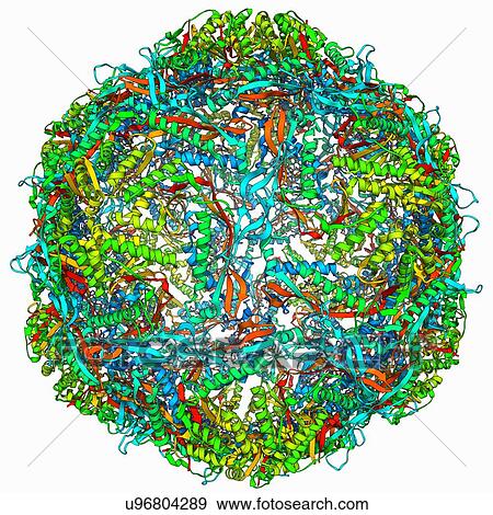 Stock Illustration - Bacterial nanocompartment. Fotosearch