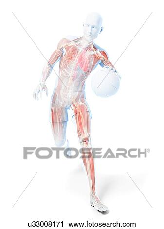 Clip Art - Basketball player, artwork. Fotosearch
