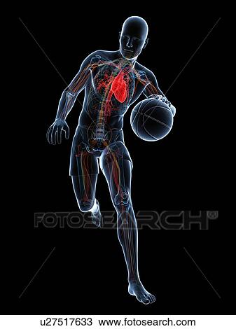Drawing - Basketball player, artwork. Fotosearch