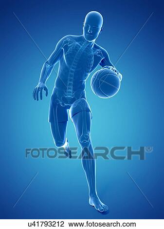 Drawing - Basketball player, artwork. Fotosearch