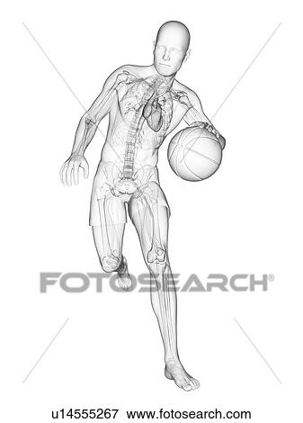 Basketball player, artwork View Large Illustration Stock Illustration - Basketball player, artwork. Fotosearch