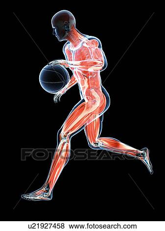 Basketball player, artwork View Large Illustration Stock Illustration - Basketball player, artwork. Fotosearch