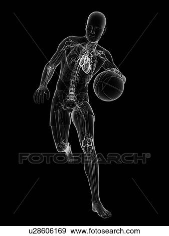 Basketball player, artwork View Large Illustration Stock Illustration - Basketball player, artwork. Fotosearch