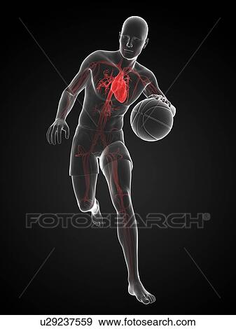 Stock Illustration - Basketball player, artwork. Fotosearch