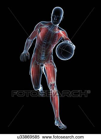 Stock Illustration - Basketball player, artwork. Fotosearch