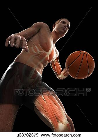 Basketball player, artwork View Large Illustration Stock Illustration - Basketball player, artwork. Fotosearch