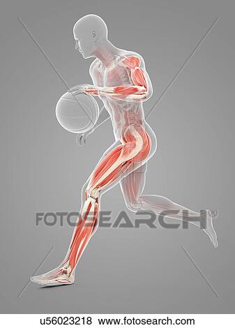 Basketball player, artwork View Large Illustration Stock Illustration - Basketball player, artwork. Fotosearch