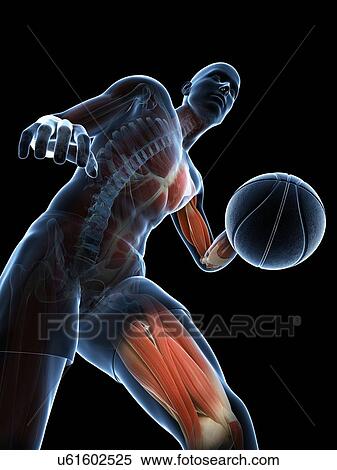Basketball player, artwork View Large Illustration Stock Illustration - Basketball player, artwork. Fotosearch