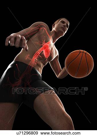 Basketball player, artwork View Large Illustration Stock Illustration - Basketball player, artwork. Fotosearch