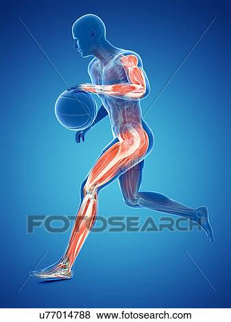 Stock Illustration - Basketball player, artwork. Fotosearch