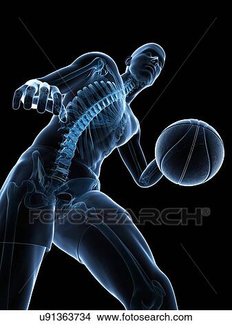 Basketball player, artwork View Large Illustration Stock Illustration - Basketball player, artwork. Fotosearch