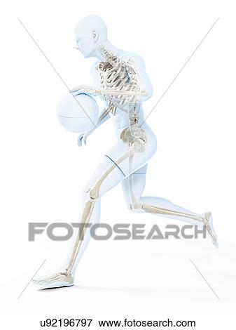 Stock Illustration - Basketball player, artwork. Fotosearch