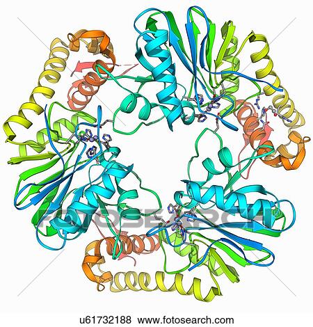 Stock Illustration - Beta-lactamase-like protein 2 molecule. Fotosearch