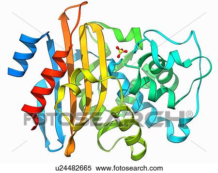 Beta-lactamase molecule View Large Illustration Stock Illustration - Beta-lactamase molecule. Fotosearch