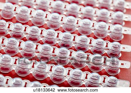 Drawing - Biological research. Fotosearch