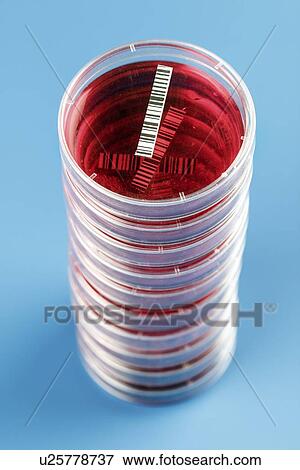 Stock Illustration - Biological research. Fotosearch