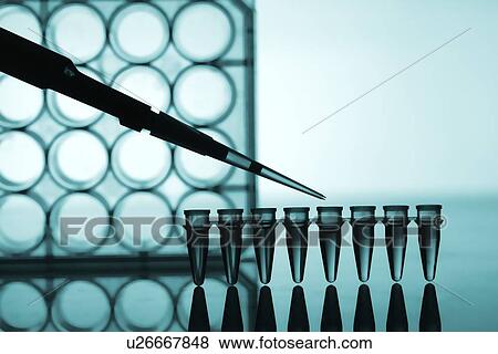 Biological research View Large Illustration Stock Illustration - Biological research. Fotosearch