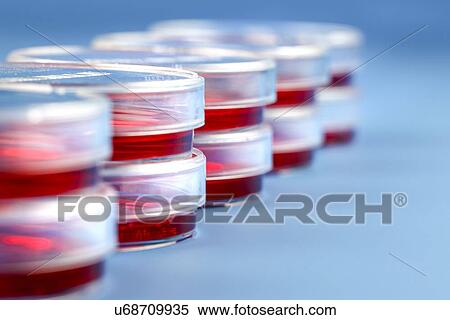 Biological research View Large Illustration Stock Illustration - Biological research. Fotosearch