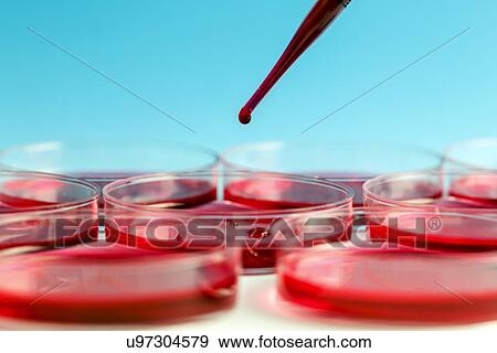 Biological research View Large Illustration Stock Illustration - Biological research. Fotosearch