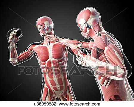 Drawing - Boxing match, artwork. Fotosearch