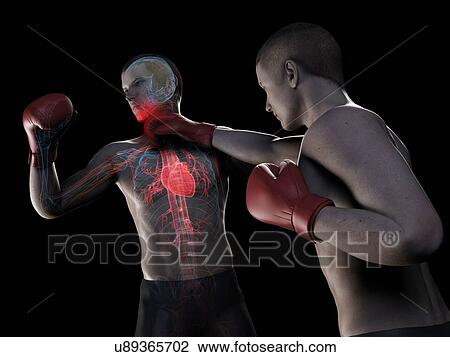 Boxing match, artwork View Large Illustration Drawing - Boxing match, artwork. Fotosearch