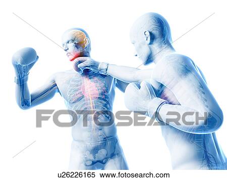Boxing match, artwork View Large Illustration Stock Illustration - Boxing match, artwork. Fotosearch