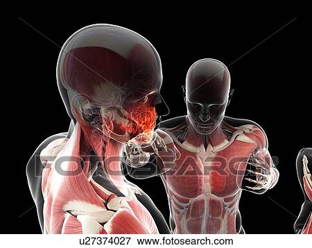 Stock Illustration - Boxing match, artwork. Fotosearch