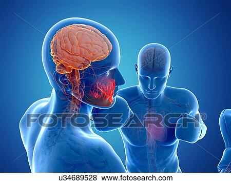 Boxing match, artwork View Large Illustration Stock Illustration - Boxing match, artwork. Fotosearch