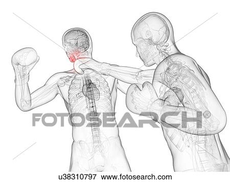Boxing match, artwork View Large Illustration Stock Illustration - Boxing match, artwork. Fotosearch
