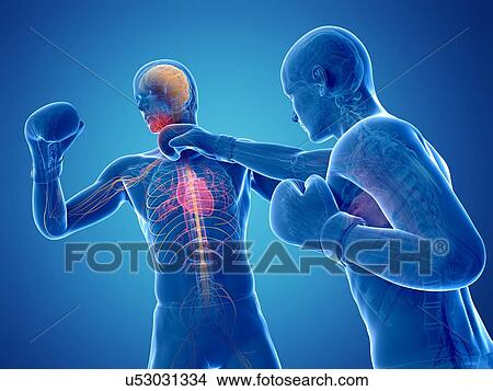 Boxing match, artwork View Large Illustration Stock Illustration - Boxing match, artwork. Fotosearch