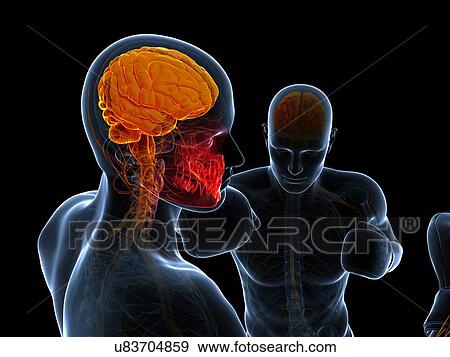 Stock Illustration - Boxing match, artwork. Fotosearch