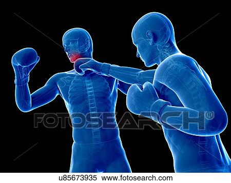Boxing match, artwork View Large Illustration Stock Illustration - Boxing match, artwork. Fotosearch
