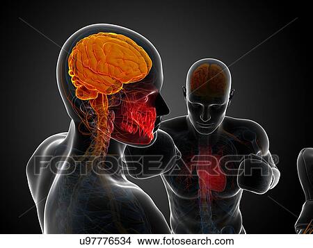 Boxing match, artwork View Large Illustration Stock Illustration - Boxing match, artwork. Fotosearch