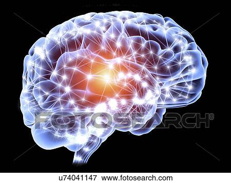 Brain, neural network View Large Illustration Stock Illustration - Brain, neural network. Fotosearch