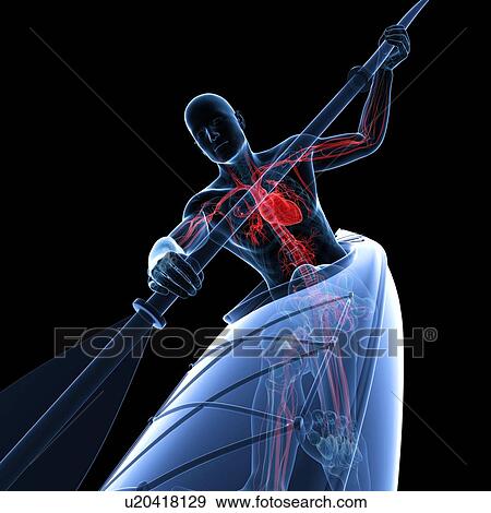 Canoeist, artwork View Large Illustration Stock Illustration - Canoeist, artwork. Fotosearch
