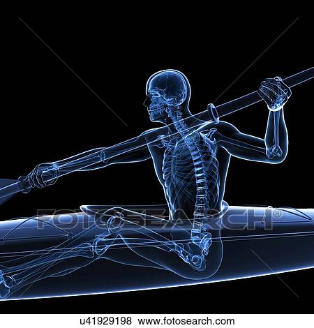 Canoeist, artwork View Large Illustration Stock Illustration - Canoeist, artwork. Fotosearch