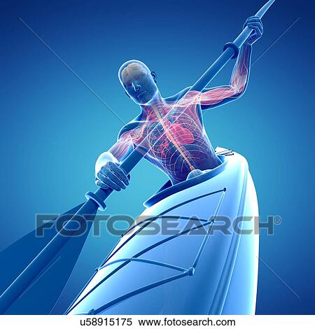 Stock Illustration - Canoeist, artwork. Fotosearch