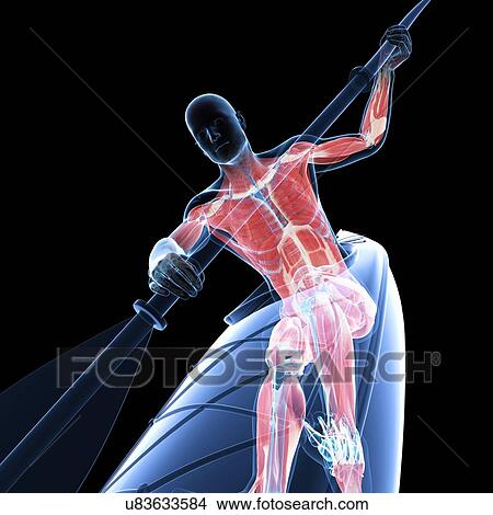 Stock Illustration - Canoeist, artwork. Fotosearch