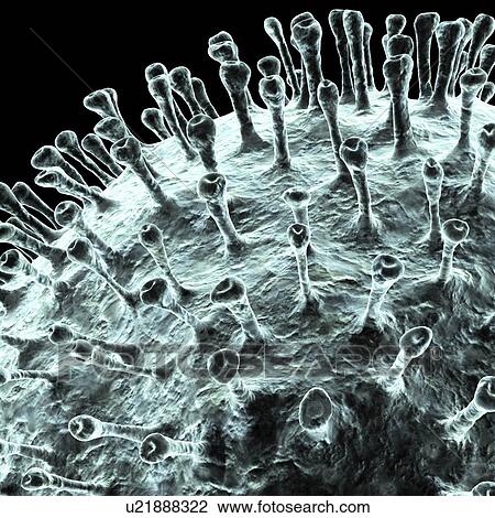 Coronavirus, artwork View Large Illustration Drawing - Coronavirus, artwork. Fotosearch