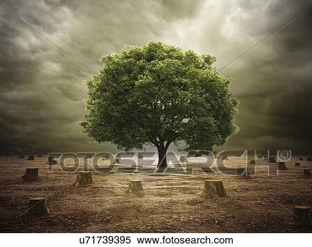 Stock Illustration - Deforestation, conceptual artwork. Fotosearch